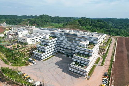 跨江越线筑精品 一轨飞架连双城 轨道交通资阳线车站正式亮相