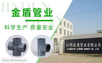 金盾怎么样