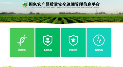 确保舌尖上的安全 江阴这样保障农产品质量