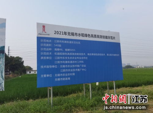江阴 绿色防控引入 利器 农产品更绿色更安全